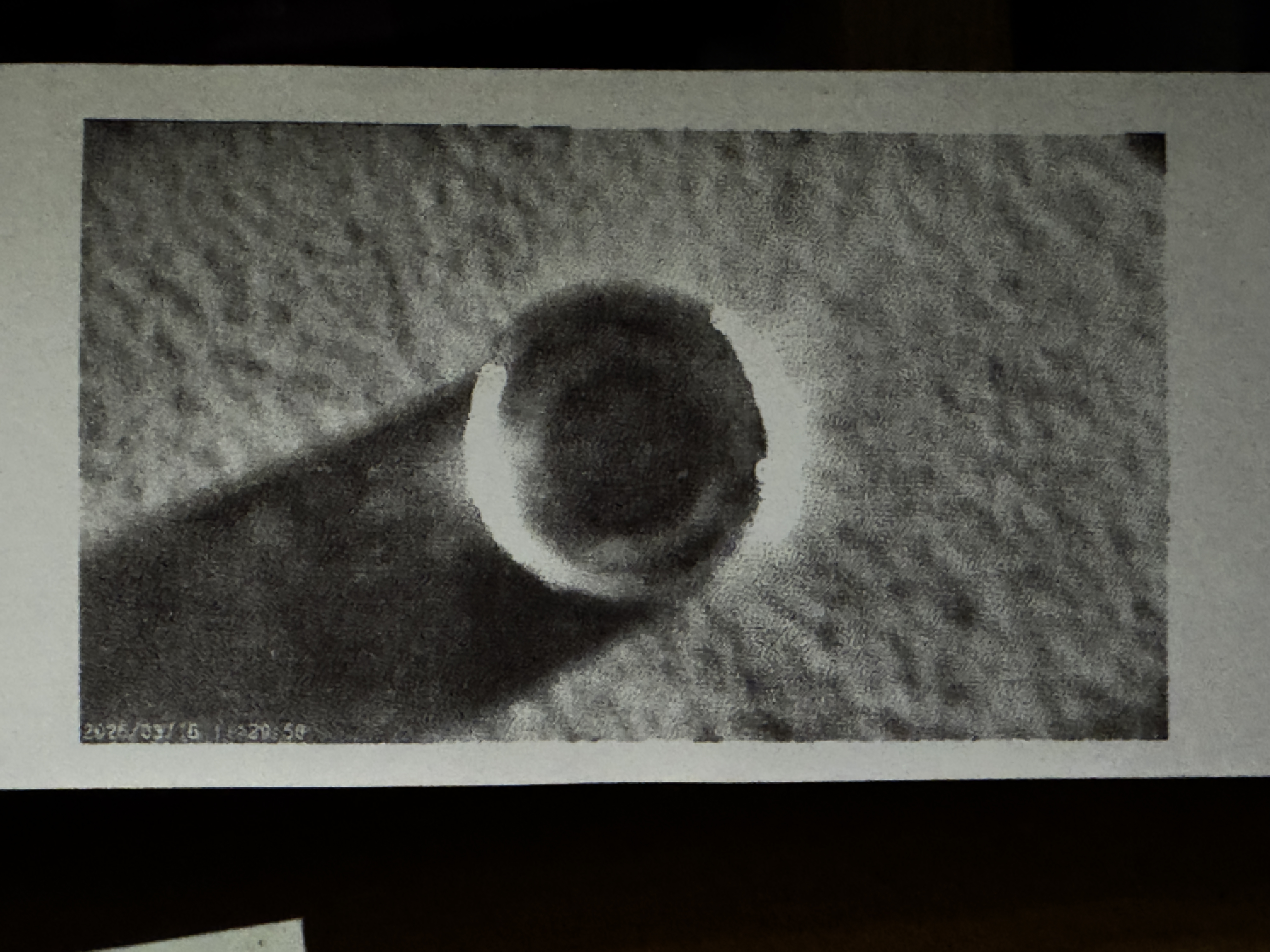 Photo of a disc I found on the road